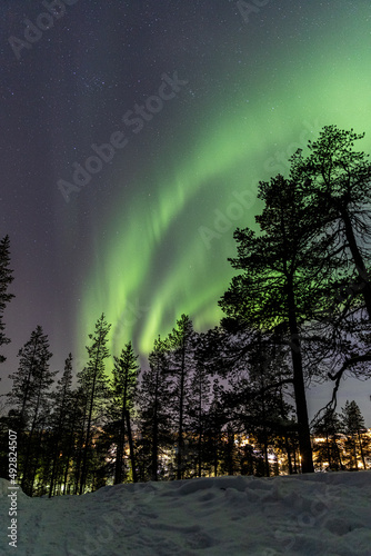 Aurores boréales au dessus d'une forêt en Laponie finlandaise. 