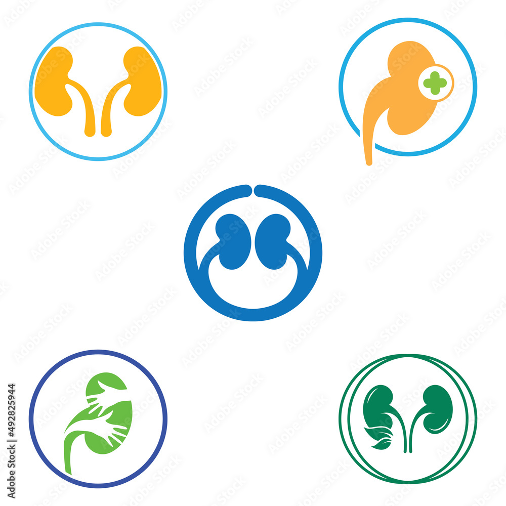 Kidney health and kidney care logo using icon design concept vector illustration Kidney health and kidney care logo using icon design concept vector illustration