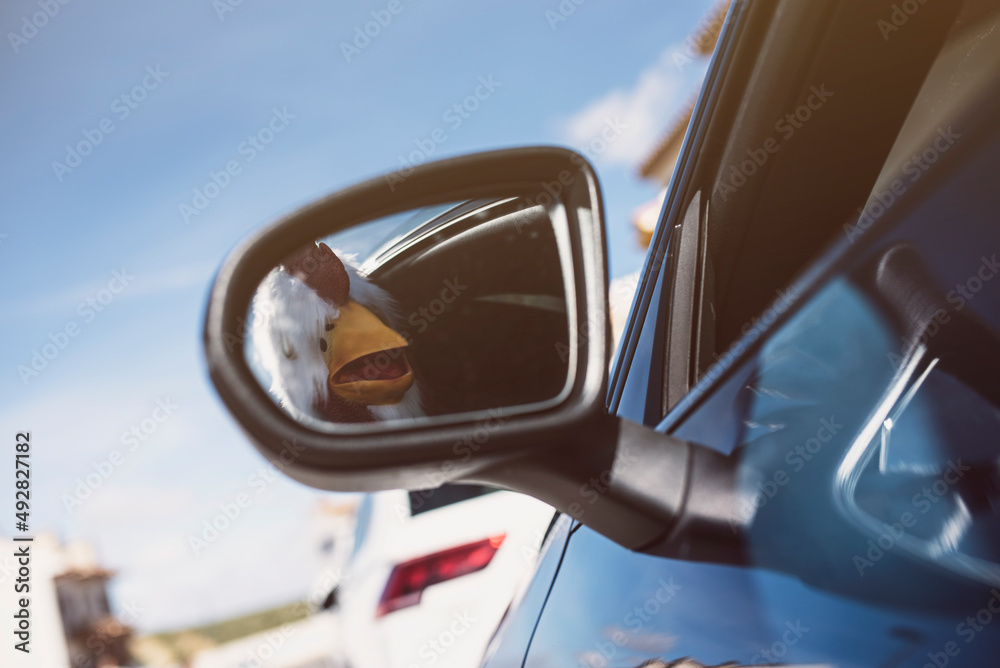 The happy bird man drives a car and sticks his head out The happy bird man drives a car and sticks his head out