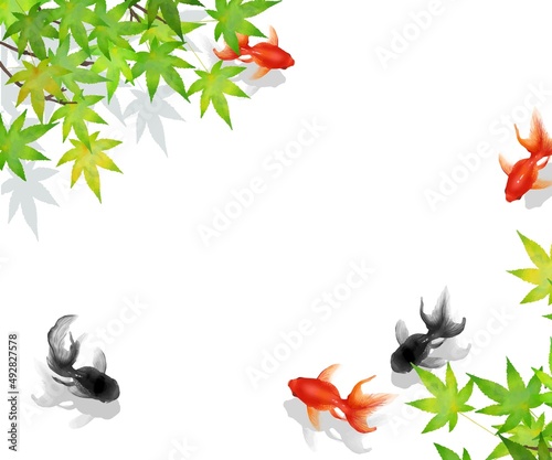 楓の葉と黒と赤の金魚が泳ぐかわいいデザインの白バックベクター夏フレーム素材