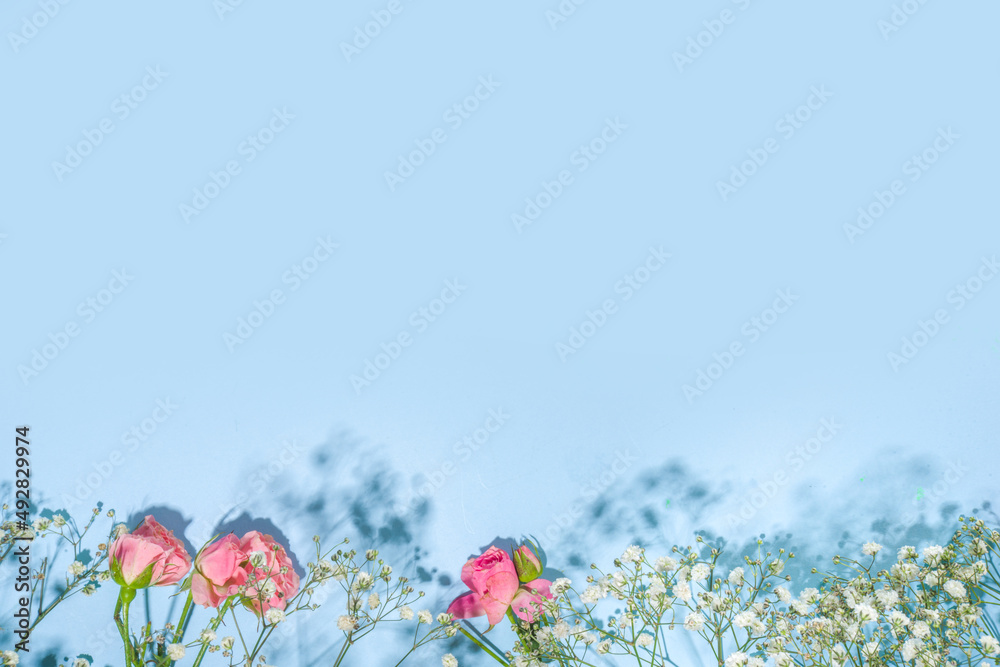 Obraz premium Cute spring flatlay background