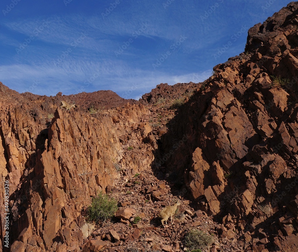 Hiking in Nahal Shani, South Israel