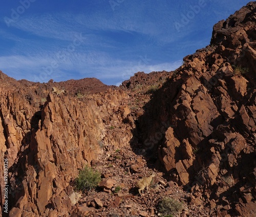 Hiking in Nahal Shani, South Israel