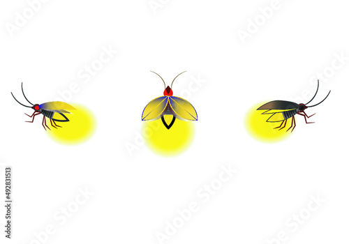 Shining firefly bug glowing on white background.Glowing fireflies on a grass filed at night . Enigmatic and mysterious illustration with beautiful blue lights in the night. firefly spread wings.