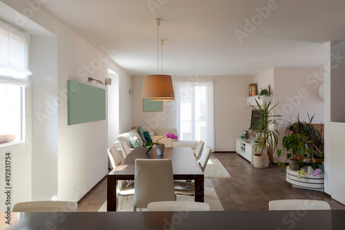 Open space view of modern apartment with kitchen with island, large table with chairs and a sofa in the background