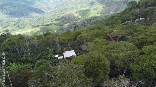 Drone shot flying over beautiful mountain ridge and clouds in rural jungle bush forest of Pichanaqui in Peru viewing the trees, plants, fields, coffee plantation and mountains