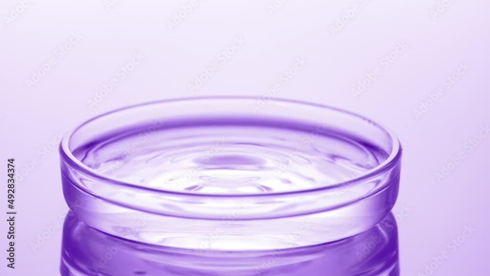 Drop of water falls into petri dish with fluid creating ripples Drop of water falls into petri dish with fluid creating ripples