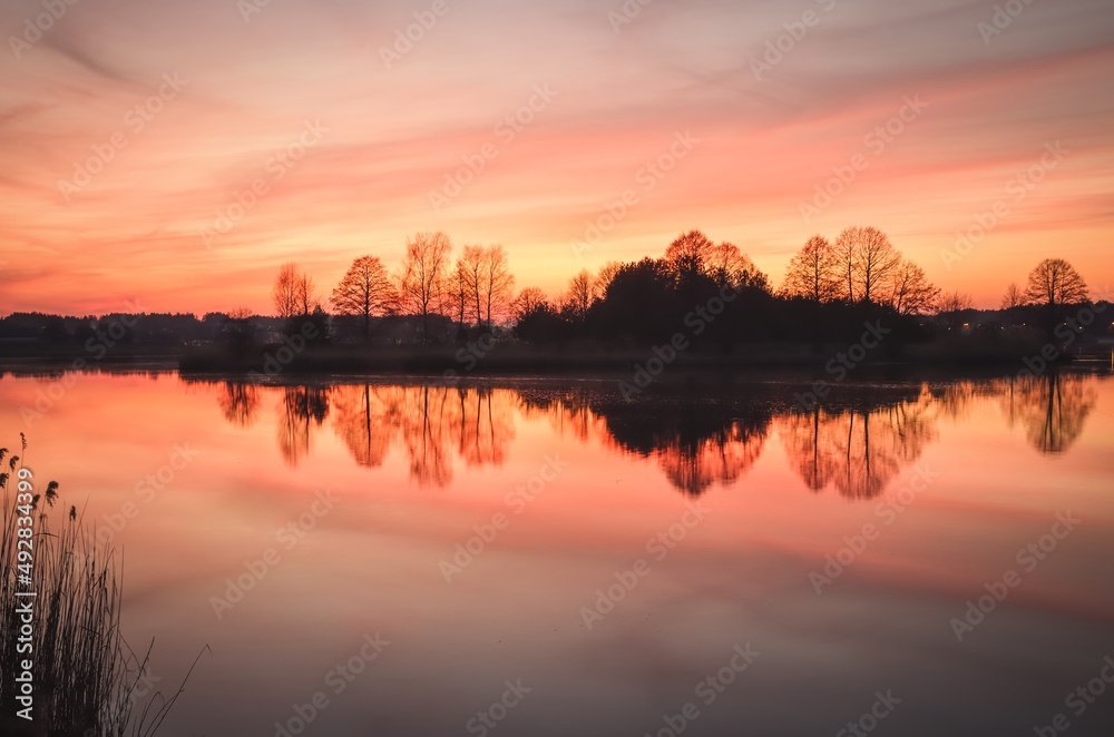 Beautiful morning landscape by the water. Wonderful sunrise over the lake with the reflection of trees. Beautiful morning landscape by the water. Wonderful sunrise over the lake with the reflection of trees.