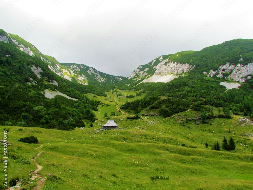 Traditional wooden hut typical for the Kamnik-savinja alps in Gorenjska region of Slovenia on the Koren pasture