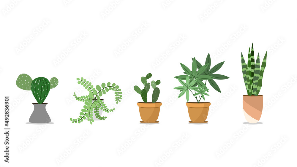 Set Plants planted in indoor pots to decorate the house vector , isolated on white background ,  Flat cartoon flat style. illustration Vector EPS 10