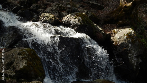 River Raging Down the Mountain