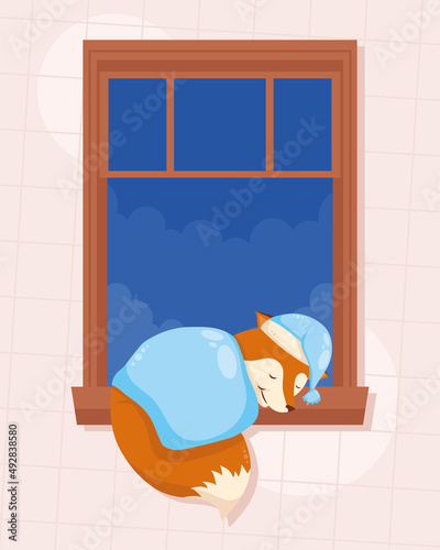 fox sleeping in window