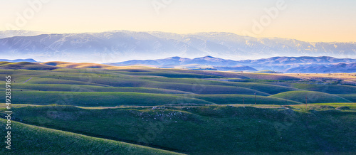 rolling hills landscape in the evening