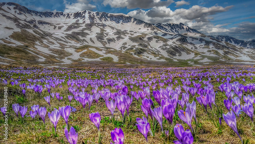 Disgelo di Primavera photo