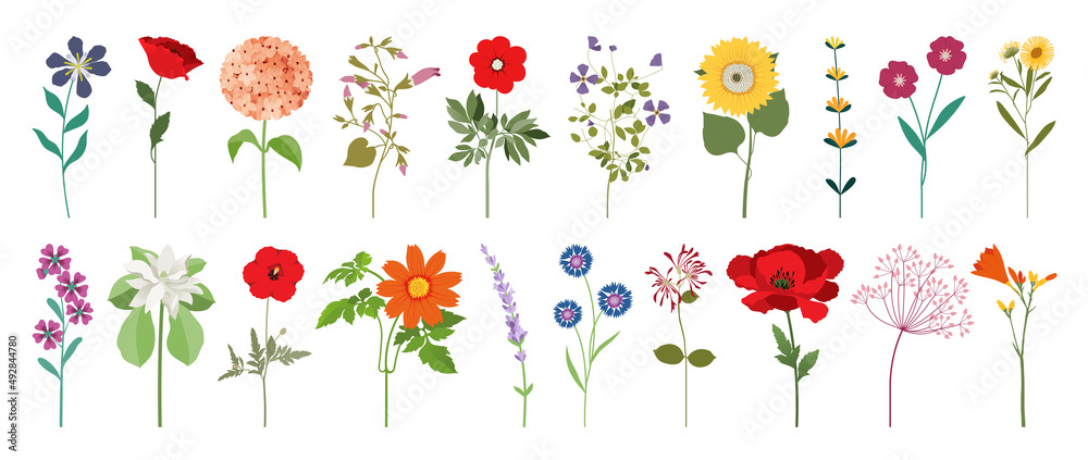Collection of colorful floral elements in flat color. Set of spring and summer wild flowers, plants, branches, leaves and herb. Hand drawn of blossom vectors for decor, website, graphic and shop - obrazy, fototapety, plakaty 