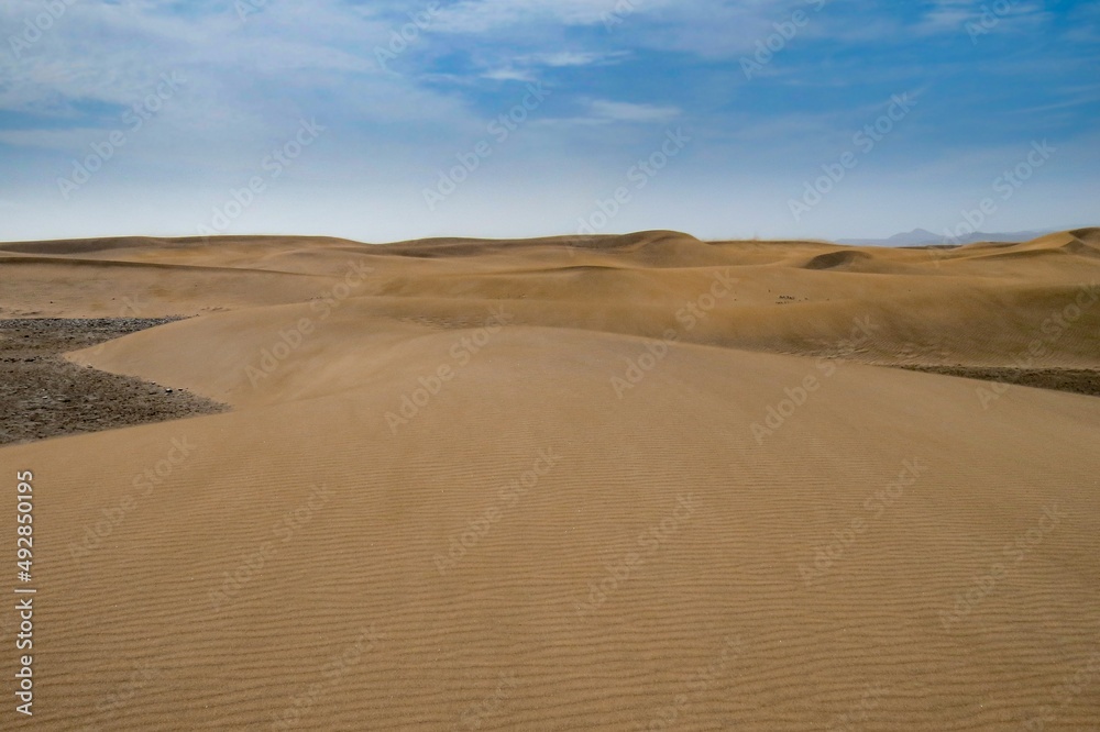 Los extensos arenales costeros (como desiertos), dunas de la playa de Maspalomas en la isla de Las Palmas de Gran Canaria, España. Paisaje desértico y costero diseñado por el efecto del viento sobre l
