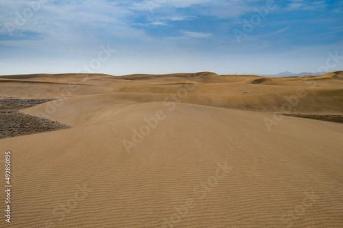 Los extensos arenales costeros  como desiertos   dunas de la playa de Maspalomas en la isla de Las Palmas de Gran Canaria  Espa  a. Paisaje des  rtico y costero dise  ado por el efecto del viento sobre l