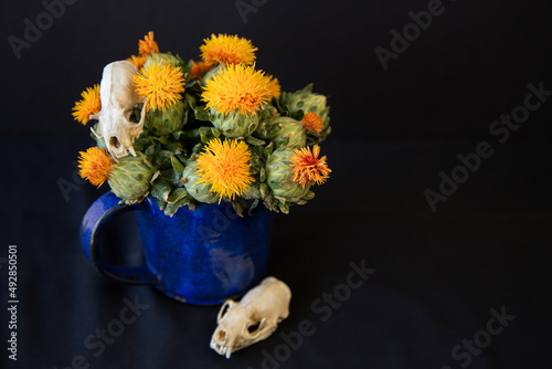 Two small raccoon skulls sit nestled among a bouquet of safflower flowers in a hand made blue pottery mug.