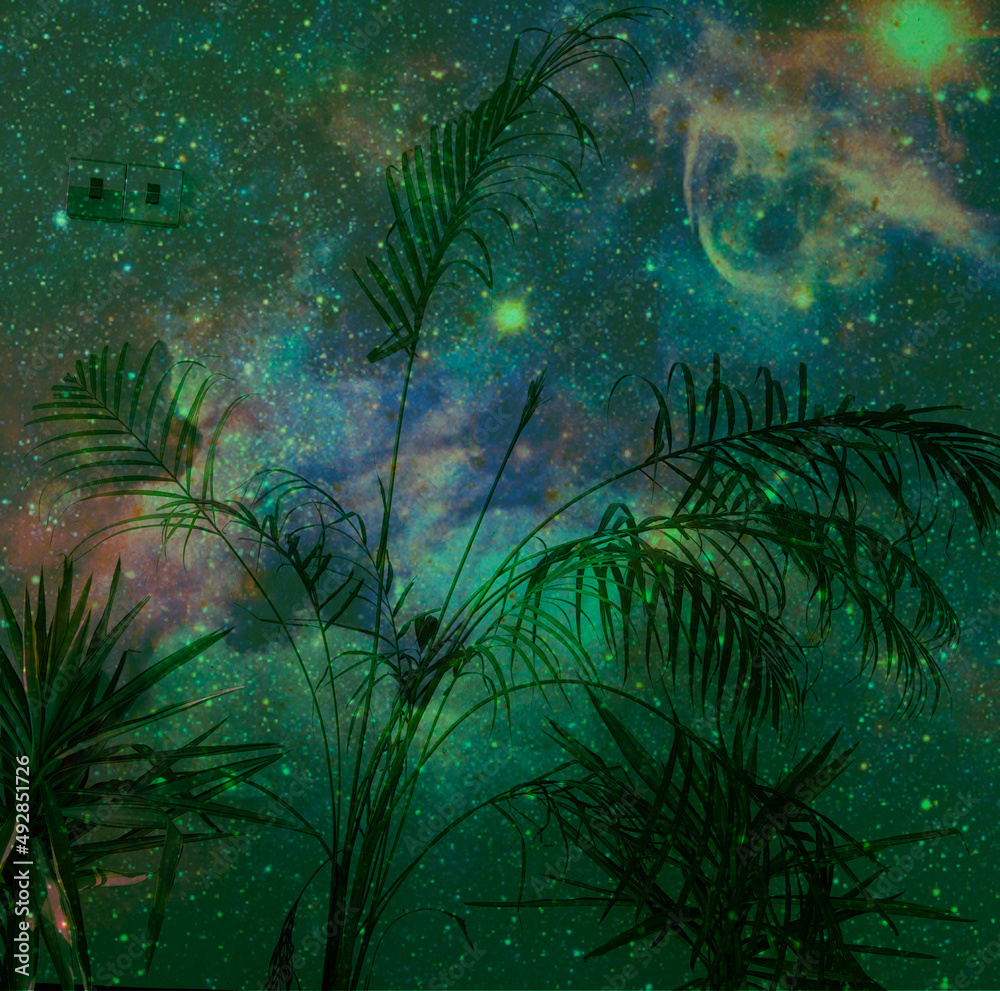 Fototapeta premium tree in the night