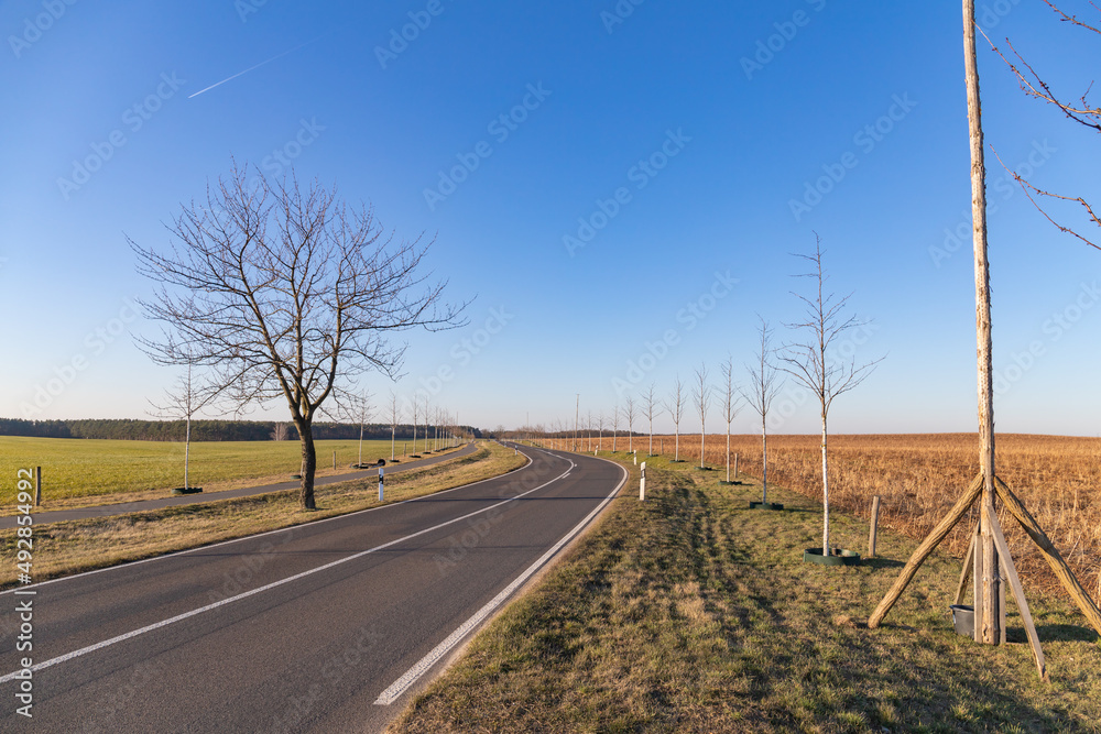 Empty road with a bike path inlaid next to it