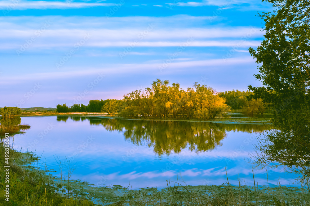 Picturesque view of Midwestern lake with trees in background at sunset in fall; trees and blue sky with light clouds reflect in calm water