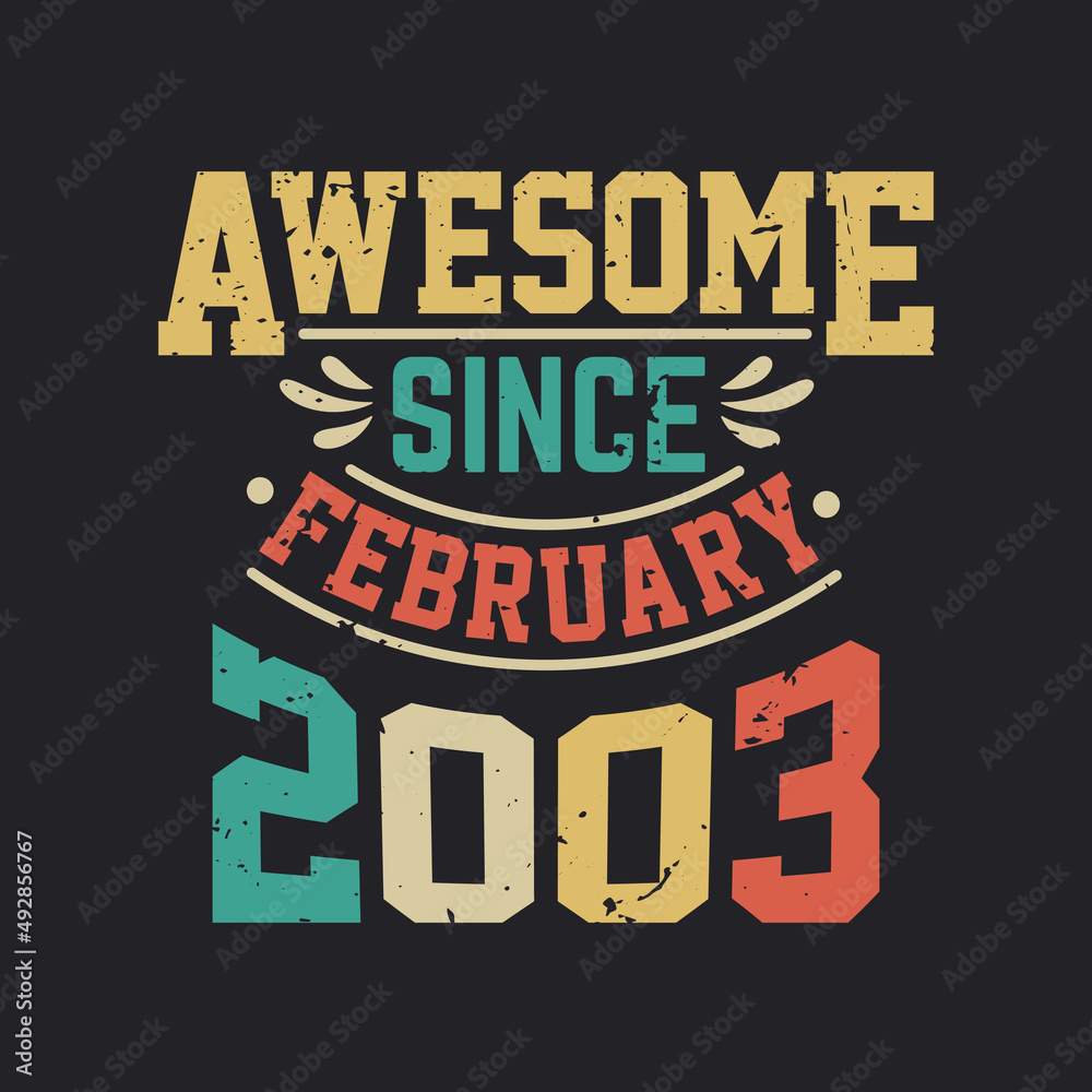 Awesome Since February 2003. Born in February 2003 Retro Vintage Birthday