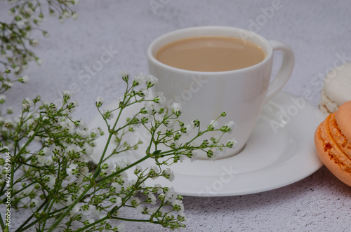 Aromatic coffee in a white porcelain cup with delicious fresh macaroons. A sprig of gypsophila in the foreground.