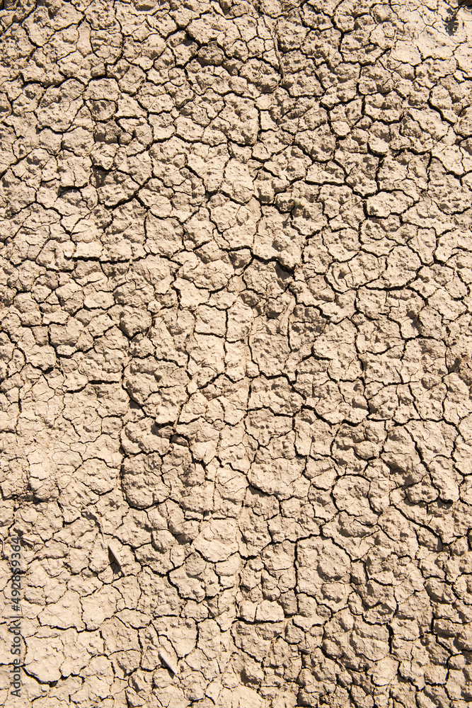 Drought, cracked earth background. Global warming concept.