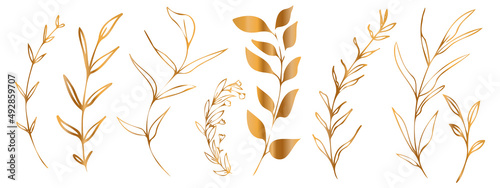 Vector plants and grasses in gold style with shiny effects. Minimalist style. Hand drawn plants. With leaves and organic shapes. For your own design.