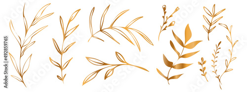 Fototapeta Naklejka Na Ścianę i Meble -  Vector plants and grasses in gold style with shiny effects. Minimalist style. Hand drawn plants. With leaves and organic shapes. For your own design.