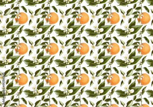Pattern with citrus fruits and flowers