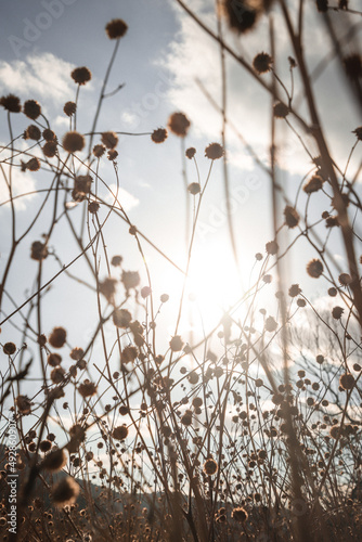 One Beautiful Night at Palo Duro Canyon, Texas