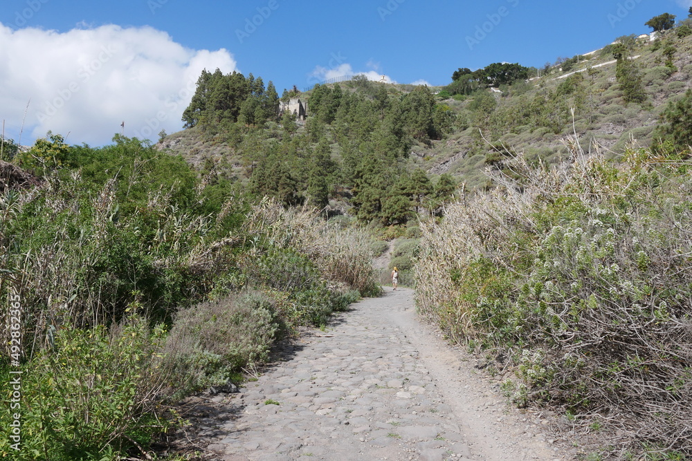 Wanderweg im Barranco Guiniguada in Las Palmas Wanderweg im Barranco Guiniguada in Las Palmas