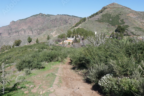 Wanderweg und Cruz de Tejeda mit Margeriten auf Gran Canaria