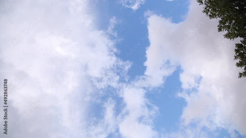 cielo azul con nubes blancas que se van desplazando suavemente, con algunas hojas de árbol en la esquina de la imagen