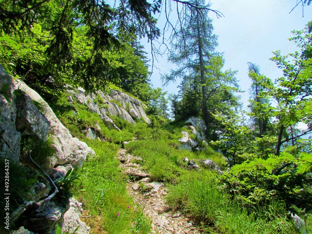 Mountain trail in Triglav national park and Julian alps in Slovenia surrounded by large rocks and spruce trees