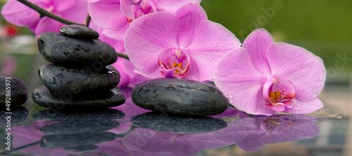 Pink orchid flower and spa stones with water drops isolated .