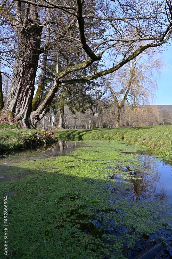 Kleiner Bach mit Bäumen im Kurpark Staatsbad Bad Brückenau, Franken, Bayern im Frühling mit blauem Himmel Kleiner Bach mit Bäumen im Kurpark Staatsbad Bad Brückenau, Franken, Bayern im Frühling mit blauem Himmel