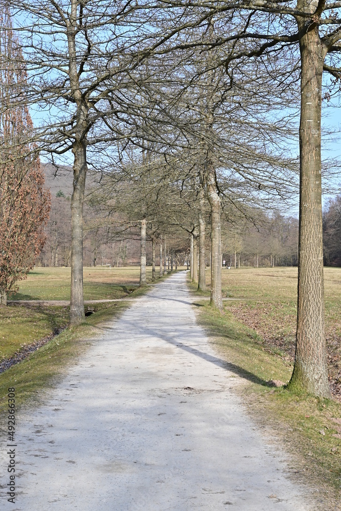 Pfad mit Allee durch den Kurpark Staatsbad Bad Brückenau, Franken, Bayern, Deutschland im Frühling bei blauem Himmel Pfad mit Allee durch den Kurpark Staatsbad Bad Brückenau, Franken, Bayern, Deutschland im Frühling bei blauem Himmel
