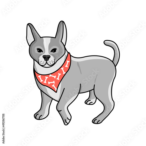 Dog breed Boston Terrier in gray and black colors with a neckerchief in red. Animal character in an active pose and isolated on white background.Hand drawn vector illustration.Design for cards,print.