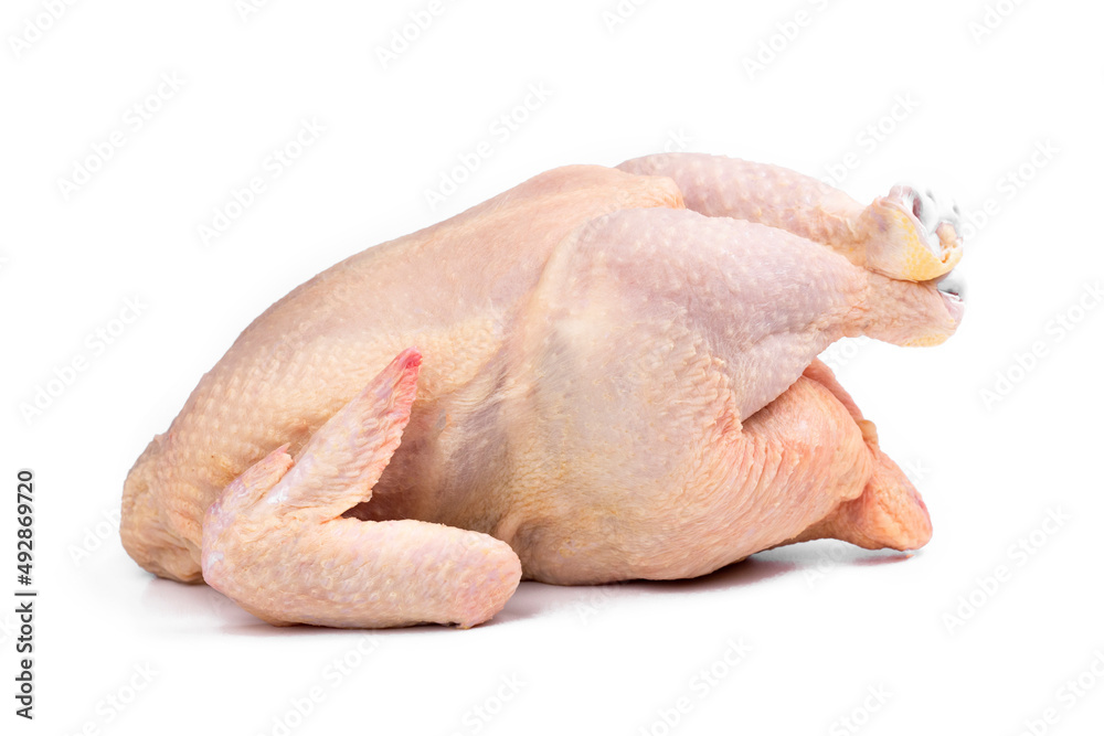 Fresh raw chicken isolated on white background.