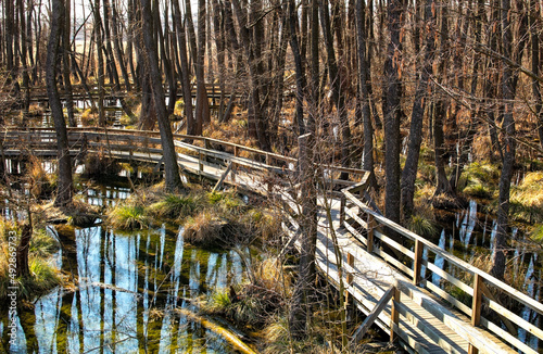 Row of wooden planks above the water of the bog, pile promenade above the bog