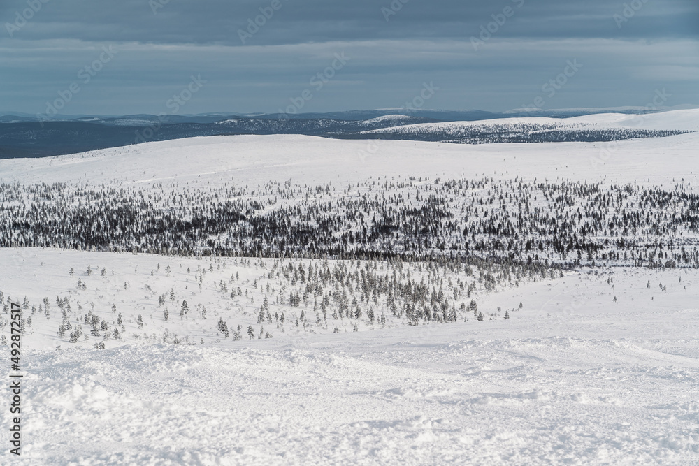 Verschneite Winterlandschaft in Lappland Verschneite Winterlandschaft in Lappland