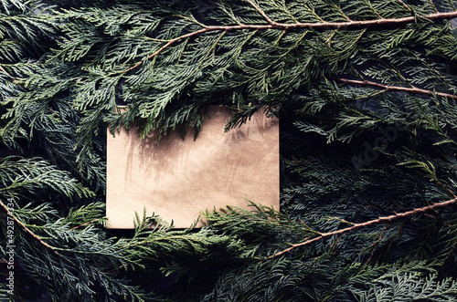 Top view of green spruce branches with empty white greeting postcard. vergreen ashy pine tree sticks background. Creative minimalistic composition