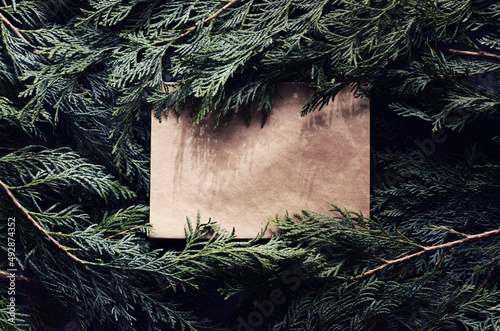 Top view of green spruce branches with empty white greeting postcard. vergreen ashy pine tree sticks background. Creative minimalistic composition