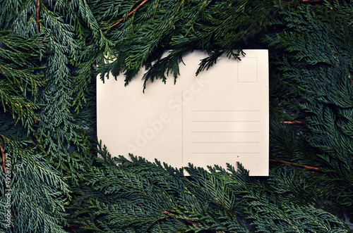 Top view of green spruce branches with empty white greeting postcard. vergreen ashy pine tree sticks background. Creative minimalistic composition