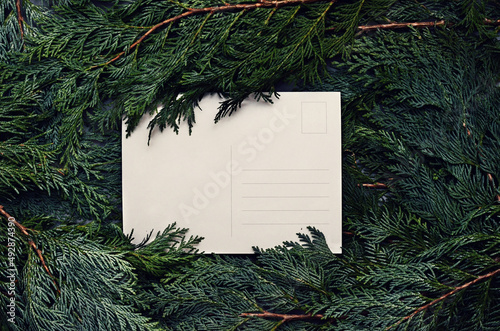 Top view of green spruce branches with empty white greeting postcard. vergreen ashy pine tree sticks background. Creative minimalistic composition