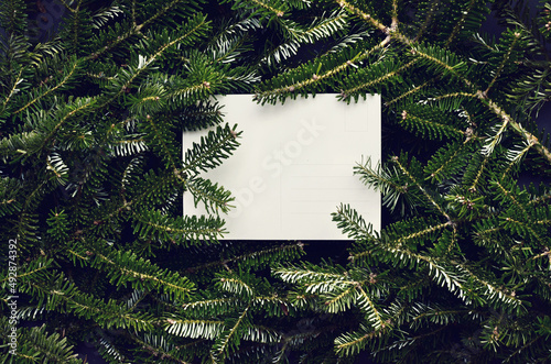 Top view of green spruce branches with empty white greeting postcard. vergreen ashy pine tree sticks background. Creative minimalistic composition photo