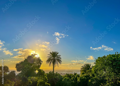 Palm trees and sunset view at Hawaii in America © buraktumler
