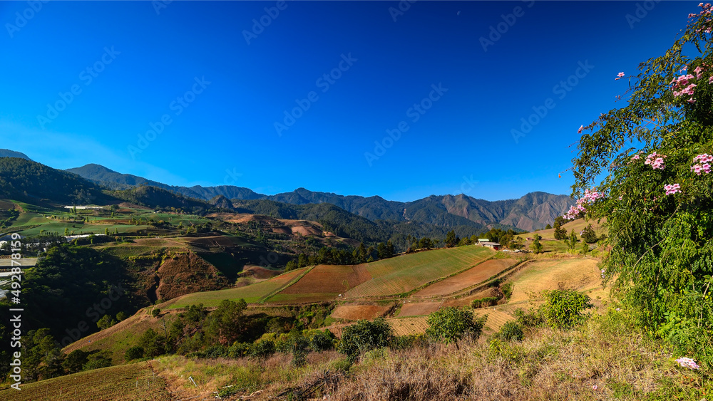 Landscape photograph of agricultural fields in highlands of Dominican Republic